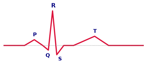 Diagram for this Human Physiology question